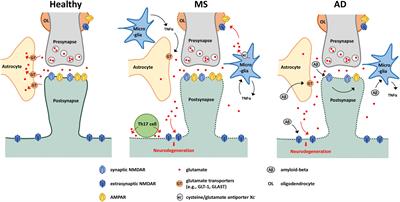 Pathophysiological Ionotropic Glutamate Signalling in Neuroinflammatory Disease as a Therapeutic Target